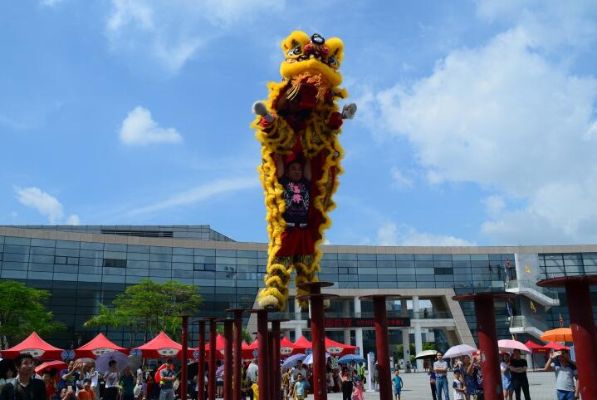 “爱在光明•情系非遗”—2017年光明新区非遗日展演活动回顾