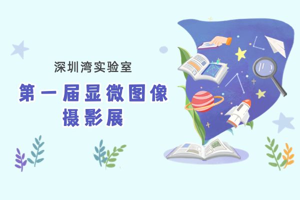 微观世界的奥秘——走进文化馆欣赏科学中的艺术