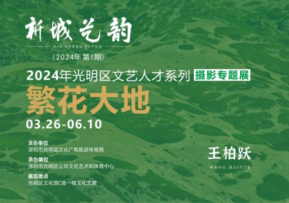 摄影专题展丨新城艺韵展新篇，繁花大地映眼帘